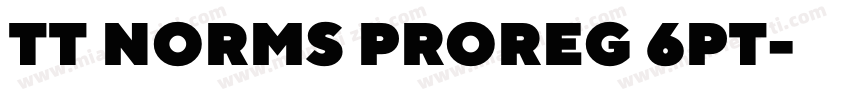 TT NORMS PROREG 6PT字体转换